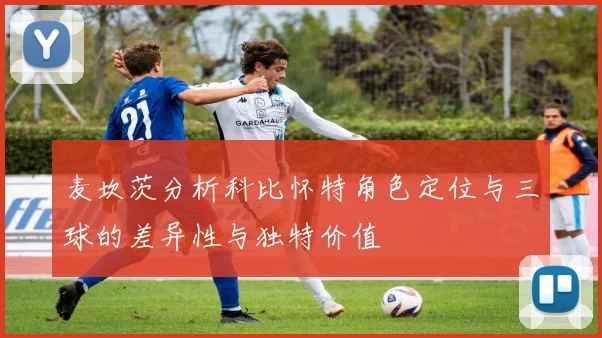 麦坎茨分析科比怀特角色定位与三球的差异性与独特价值
